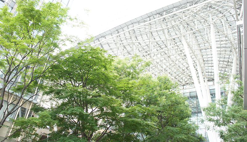 365bet官网全站登录 結局のところ、将軍の殺害も非常に一般的です。